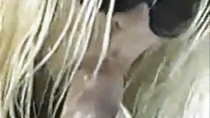 Strastveni seks mladog para snimljen je kamerom sek free video