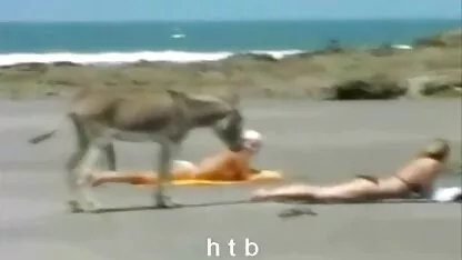 Bundeva liže kapu na piliću i cums seks vidio xx